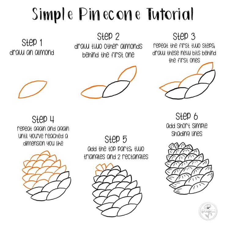 How to use pinecam? Easy guide for beginners step by step.