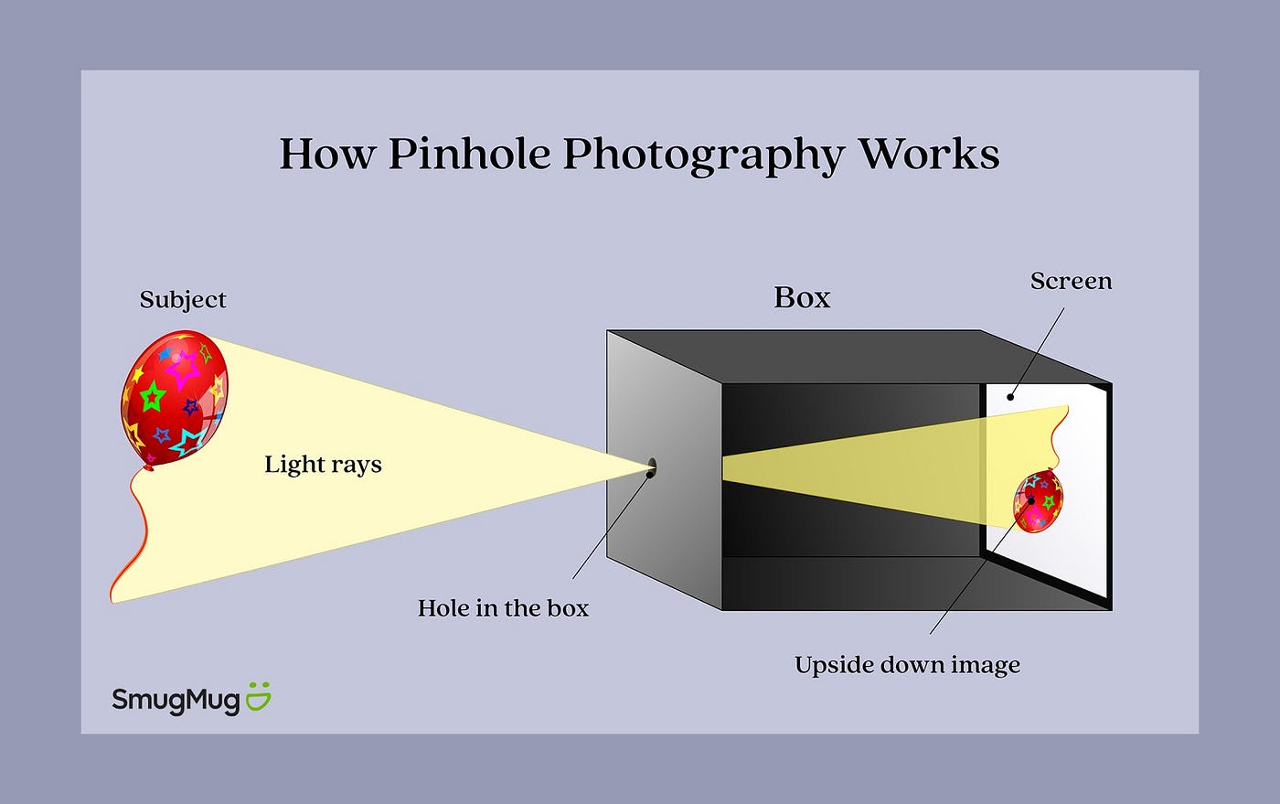 How to use pinecam? Easy guide for beginners step by step.