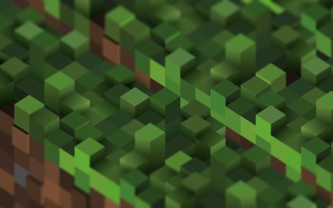 Minecraft on Linux Ubuntu install tips. (Set up fast and play right now!)