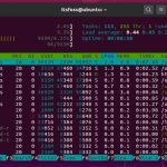 Linux Mint versus Ubuntu features what are the main differences today