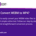 How to Convert Opus to MP4 File Step by Step Easy Guide