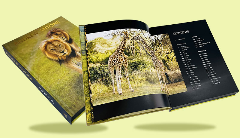 History Print Paper Choices How to Pick the Right Material