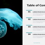 Table of Contents Google Slides Problem Solution Help Guide Now
