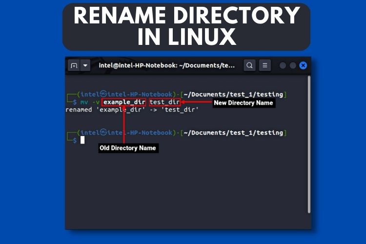 Rename Directory on Linux Using Terminal? Simple Guide with Examples