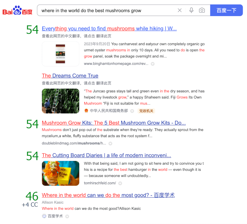 Double Structure: Each title uses a hook/benefit + value structure common in Chinese SEO, adapted naturally to English.