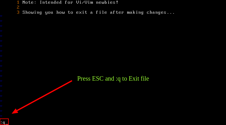 Best way to exit vi? (Expert advice for error-free quitting)
