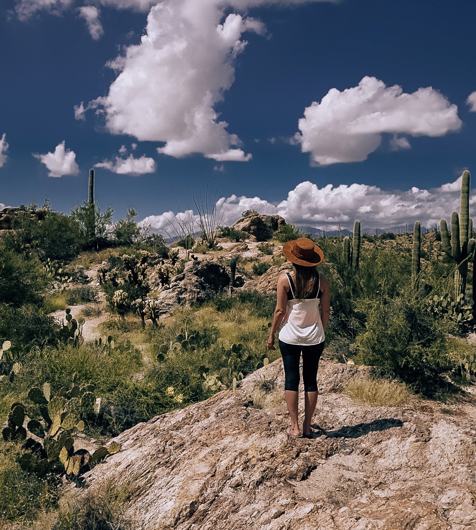 Planning Your Tucson Arizona Trip Must See Attractions You Cant Miss