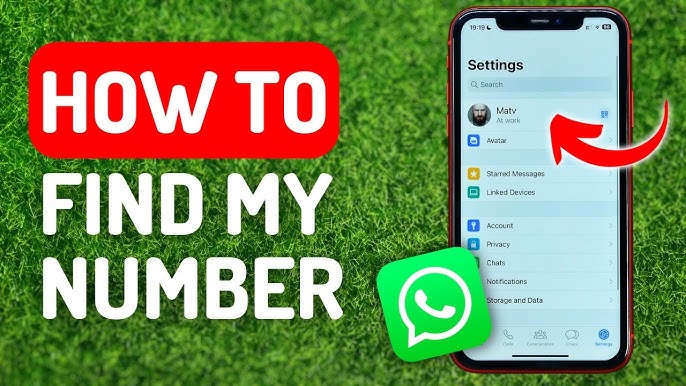 How to find my number in WhatsApp guide (fast methods revealed now)