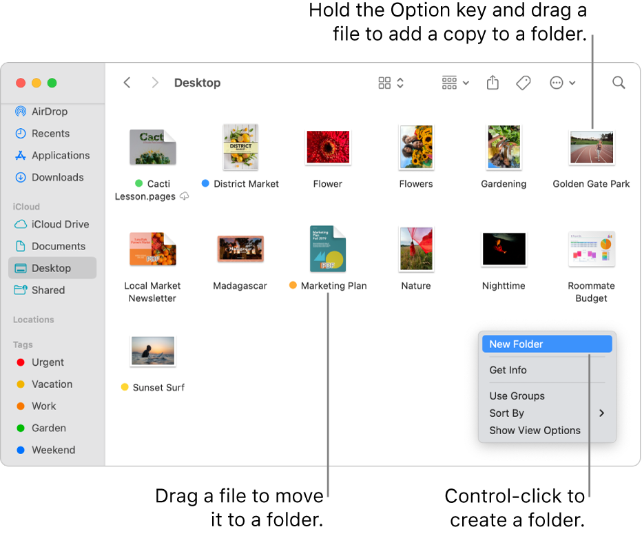 Make Your Mac Smarter: Organize Files with Soft Links