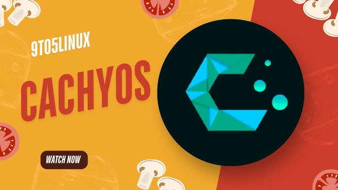 How does catchyos review work? A simple guide to get started fast.