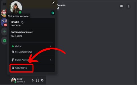 how to change age on discord: best ways to update age details fast