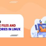 Step-by-Step Tutorial on Renaming Linux Folders Using MV Command (Effortless Solutions Inside)