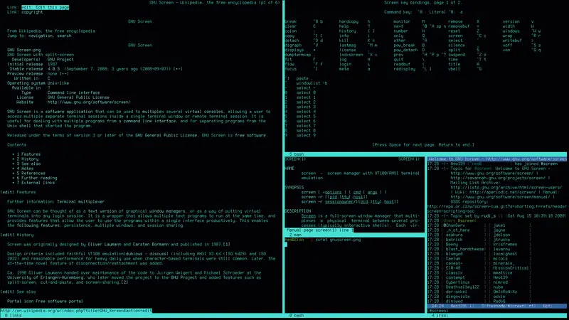 Screen Linux Quick Start Guide? Essential Steps for Your Terminal