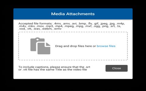 What is an MPEG File? Basic Facts About This Video Format