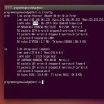 Screen Linux Quick Start Guide? Essential Steps for Your Terminal