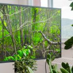 Why Blooming Television Works? Quick Solutions for Home