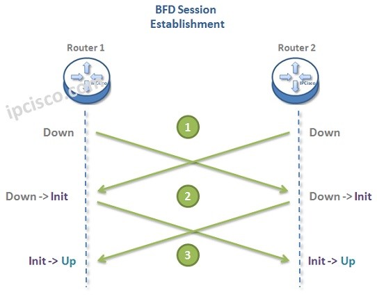 What Does BFD Stand For? Networking Tech Term Simplified!